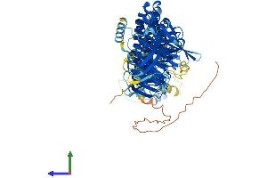 Protein Structure (PS) image for Anaphase Promoting Complex Subunit 4 (ANAPC4) (AA 1-807) protein (His tag) (ABIN7564793)