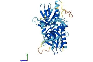 Protein Structure (PS) image for Pleckstrin (PLEK) (AA 1-350) protein (His tag) (ABIN7550831)