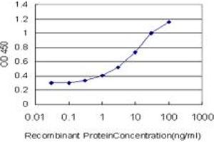 Detection limit for recombinant GST tagged FOXO3A is approximately 0. (FOXO3 抗体  (AA 361-460))