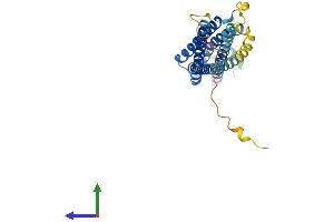 Protein Structure (PS) image for Syntaxin 4 (STX4) (AA 1-298) protein (His tag) (ABIN7556726)