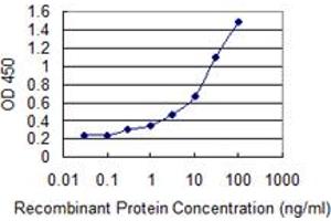 Detection limit for recombinant GST tagged ADORA2A is 1 ng/ml as a capture antibody. (Adenosine A2a Receptor 抗体  (AA 147-267))