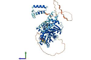 Protein Structure (PS) image for Adenylate Kinase 5 (AK5) (AA 1-562) protein (His tag) (ABIN7548659)