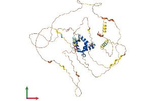 Protein Structure (PS) image for Ets2 Repressor Factor (ERF) (AA 1-548) protein (His tag) (ABIN7547365)