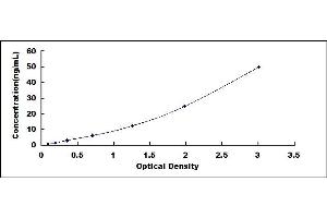 Typical standard curve (GRID2 ELISA 试剂盒)