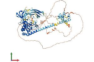 Protein Structure (PS) image for Mitogen-Activated Protein Kinase Kinase Kinase MLT (ZAK) (AA 1-802) protein (His tag) (ABIN7565064)