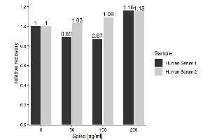 The ST/5-HT (Serotonin/5-Hydroxytryptamine) ELISA Kitwas tested for Spiking and Recovery. (Serotonin ELISA 试剂盒)