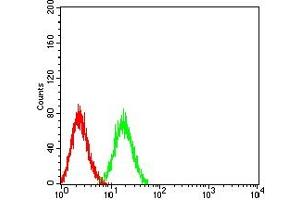 Flow cytometric analysis of HL-60 cells using CD307B mouse mAb (green) and negative control (red). (FCRL2 抗体  (AA 20-253))