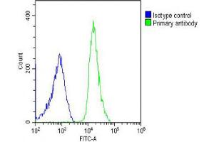 Overlay histogram showing U-2OS cells stained with Antibody (green line). (HRPT2 抗体  (AA 132-161))