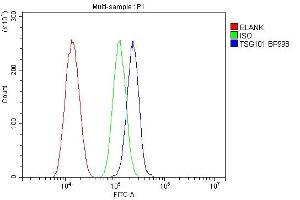 Flow Cytometry analysis of SiHa cells using anti-TSG101 antibody (ABIN7600712).