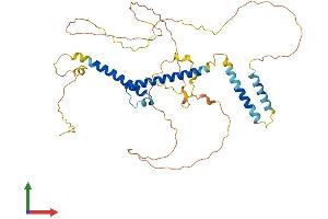 Protein Structure (PS) image for Basic Helix-Loop-Helix Family, Member E40 (BHLHE40) (AA 1-412) protein (His tag) (ABIN7552804)