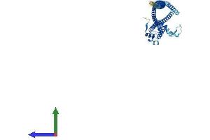 Protein Structure (PS) image for NUF2, NDC80 Kinetochore Complex Component (NUF2) (AA 1-463) protein (His tag) (ABIN7560453)