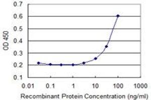 Detection limit for recombinant GST tagged KRAS is 3 ng/ml as a capture antibody. (K-RAS 抗体  (AA 1-188))