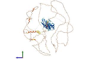 AlphaFold protein structure predicition of Mouse Recombinant Rbm14 Protein, UniprotID Q8C2Q3