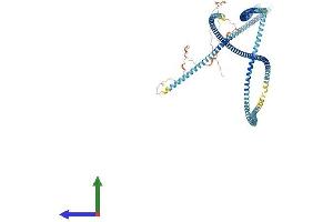Protein Structure (PS) image for Outer Dense Fiber of Sperm Tails 2 (ODF2) (AA 1-830) protein (His tag) (ABIN7561992)