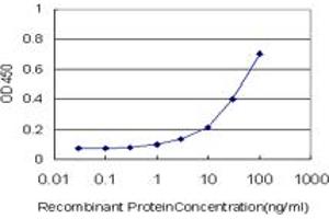 Detection limit for recombinant GST tagged RPS7 is approximately 1ng/ml as a capture antibody. (RPS7 抗体  (AA 95-194))