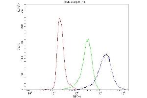Flow Cytometry analysis of K562 cells using anti-CCT3 antibody (ABIN4886513).