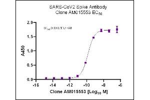 AbFlex SARS-CoV-2 Spike Antibody (rAb) (AM015553) tested by ELISA using SARS Spike protein ECD. (Recombinant SARS-CoV-2 Spike 抗体)