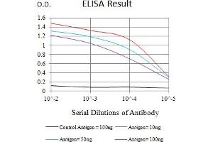 Black line: Control Antigen (100 ng),Purple line: Antigen (10 ng), Blue line: Antigen (50 ng), Red line:Antigen (100 ng) (NKp44/NCR2 抗体  (AA 22-192))