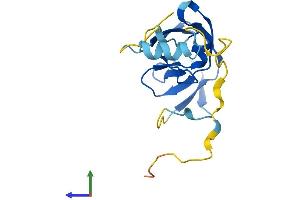Protein Structure (PS) image for Endogenous Retrovirus Group K, Member 6 (ERVK-6) (AA 1-156) protein (His tag) (ABIN7545162)