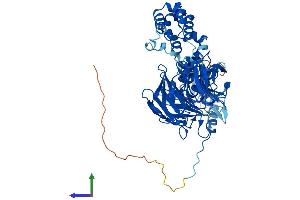 Protein Structure (PS) image for Kelch-Like 20 (KLHL20) (AA 1-604) protein (His tag) (ABIN7564731)