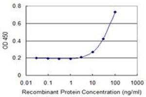 Detection limit for recombinant GST tagged CSNK1G2 is 3 ng/ml as a capture antibody. (Casein Kinase 1 gamma 2 抗体  (AA 1-415))