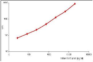 Calibration curve for Influenza B sandwich fluoroimmunoassay using anti NP antibodies. (Influenza Nucleoprotein 抗体 (Influenza B Virus))