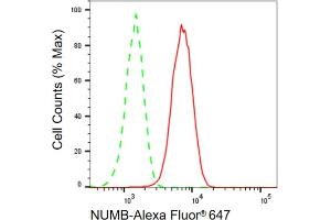 Flow cytometric analysis of NUMB expression in HepG2 cells using NUMB antibody (ABIN7799693), 1:2,000). (Recombinant NUMB 抗体)
