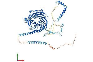 Protein Structure (PS) image for Dynein, Axonemal, Intermediate Chain 2 (DNAI2) (AA 1-605) protein (His tag) (ABIN7547079)
