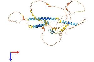 IER5L Protein (AA 1-404) (His tag)