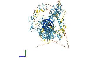 Protein Structure (PS) image for Corin, Serine Peptidase (CORIN) (AA 1-1042) protein (His tag) (ABIN7553552)