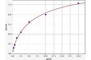 Typical standard curve (WNT4 ELISA 试剂盒)