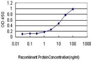 Detection limit for recombinant GST tagged DAZ1 is approximately 0. (DAZ1 抗体  (AA 21-120))