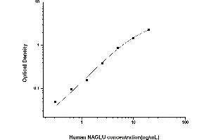 Typical standard curve (N-Acetyl alpha-D-Glucosaminidase ELISA 试剂盒)