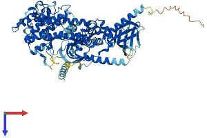 Protein Structure (PS) image for Adrenergic, Beta, Receptor Kinase 1 (ADRBK1) (AA 1-689) protein (His tag) (ABIN7552350)