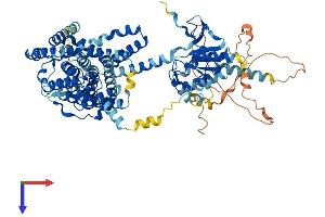Slc26a9 Protein (AA 1-790) (His tag)