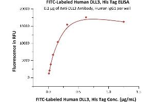 ELISA image for delta Like Protein 3 (DLL3) (AA 27-492) (Active) protein (His tag,FITC) (ABIN7013753)
