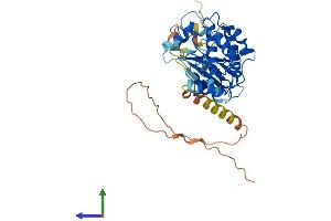 Protein Structure (PS) image for Calcium/calmodulin-Dependent Protein Kinase ID (CAMK1D) (AA 1-385) protein (His tag) (ABIN7554244)