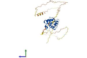 Protein Structure (PS) image for Spleen Focus Forming Virus (SFFV) Proviral Integration Oncogene Spi1 (SPI1) (AA 1-272) protein (His tag) (ABIN7562914)