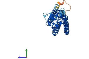 Protein Structure (PS) image for Tetraspanin 7 (TSPAN7) (AA 1-249) protein (His tag) (ABIN7544811)
