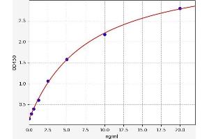 C1QTNF1 ELISA 试剂盒