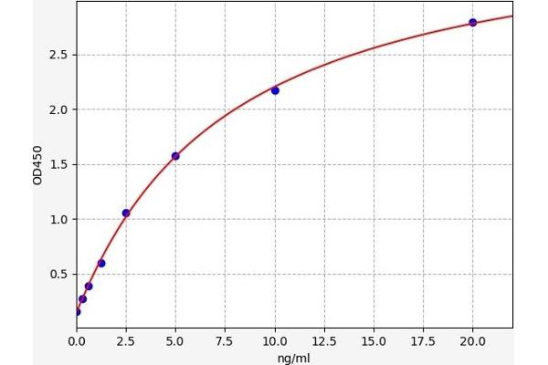 C1QTNF1 ELISA 试剂盒