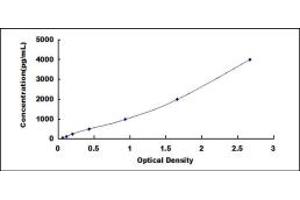 Typical standard curve (SLPI ELISA 试剂盒)