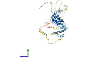 AlphaFold protein structure predicition of Mouse Recombinant Dlec1 Protein, UniprotID Q8BLA1
