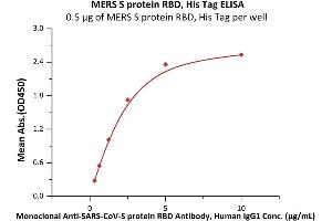 Immobilized MERS S protein RBD, His Tag (ABIN6973153) at 5 μg/mL (100 μL/well) can bind Monoclonal A-CoV-S protein RBD Antibody, Human IgG1 with a linear range of 0.