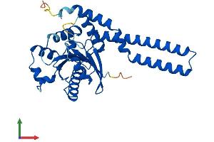 Protein Structure (PS) image for GTPase, IMAP Family Member 7 (GIMAP7) (AA 1-300) protein (His tag) (ABIN7547964)