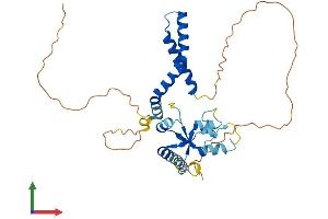 Protein Structure (PS) image for Deoxynucleotidyltransferase, Terminal, Interacting Protein 1 (DNTTIP1) (AA 1-328) protein (His tag) (ABIN7560356)