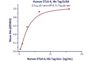 Binding Studies (Bind) image for Cytotoxic T-Lymphocyte-Associated Protein 4 (CTLA4) (AA 37-162) (Active) protein (His tag) (ABIN2487344)