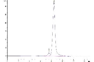 Size-exclusion chromatography-High Pressure Liquid Chromatography (SEC-HPLC) image for Tumor Necrosis Factor (Ligand) Superfamily, Member 18 (TNFSF18) (AA 50-177), (Trimer) protein (Fc Tag) (ABIN7274679)