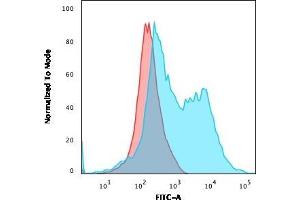 Flow Cytometry (FACS) image for anti-zeta-Chain (TCR) Associated Protein Kinase 70kDa (ZAP70) (AA 247-382) antibody (ABIN6940913)