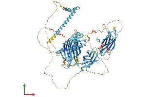 Protein Structure (PS) image for Extended Synaptotagmin-Like Protein 3 (ESYT3) (AA 1-891) protein (His tag) (ABIN7563801)